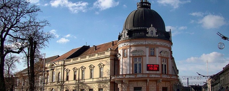 Biblioteka Gligorije Vozarović